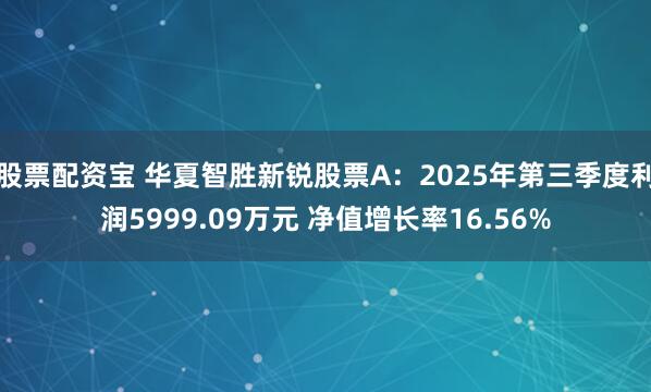 股票配资宝 华夏智胜新锐股票A:2025年第三季度利润5999.09万元 净值增长率16.56%