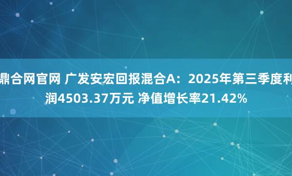 鼎合网官网 广发安宏回报混合A:2025年第三季度利润4503.37万元 净值增长率21.42%