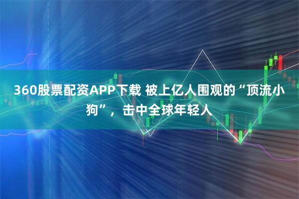 360股票配资APP下载 被上亿人围观的“顶流小狗”，击中全球年轻人