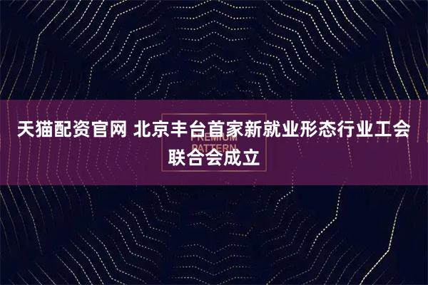 天猫配资官网 北京丰台首家新就业形态行业工会联合会成立